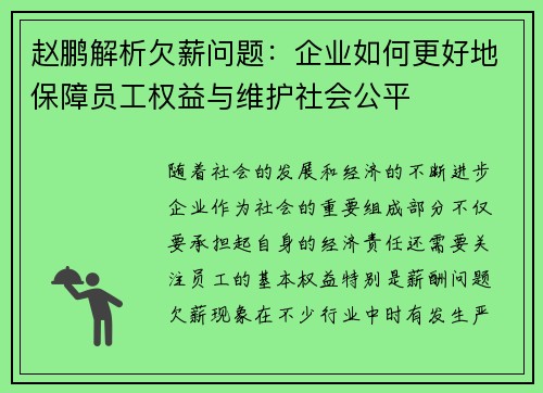 赵鹏解析欠薪问题：企业如何更好地保障员工权益与维护社会公平